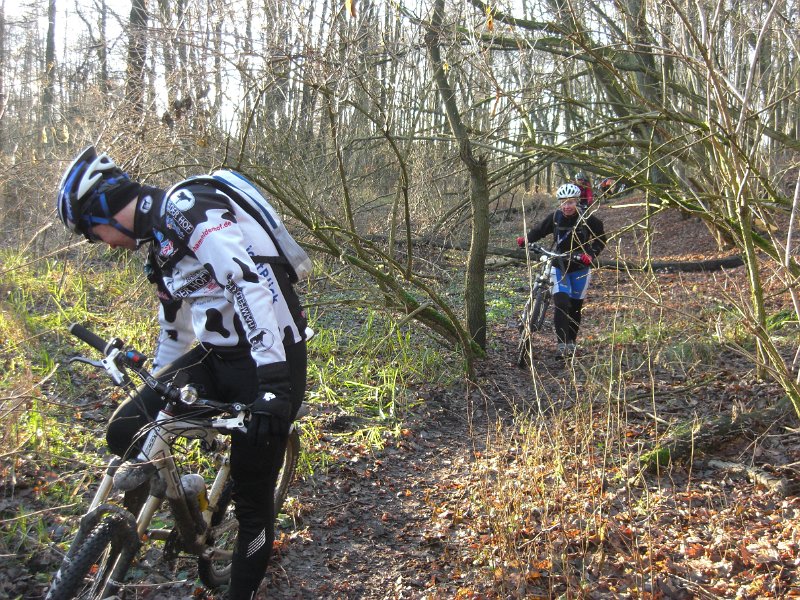 2010 1212 Crosstour 066